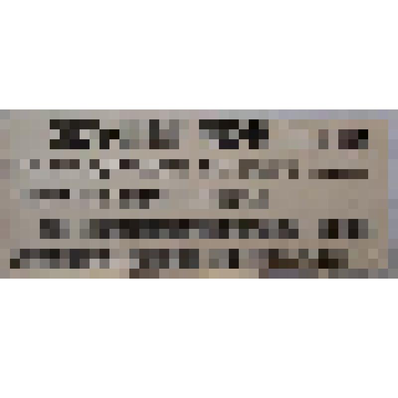 Листовка "Советы - органы рабочей диктатуры. Укрепим руководство пролетариата и коммунистической партии в советах!"