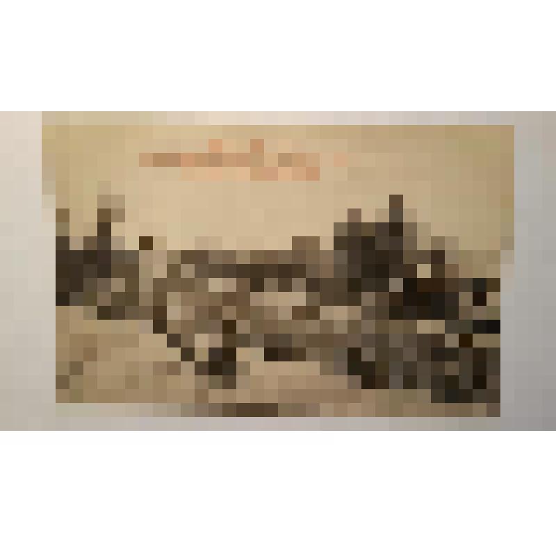 Украина, г. Киев. Часовня св. Николая и пристань Спасения на водах Красного креста. Общий вид. Фототипия Шерер, Набгольц и Ко, Москва