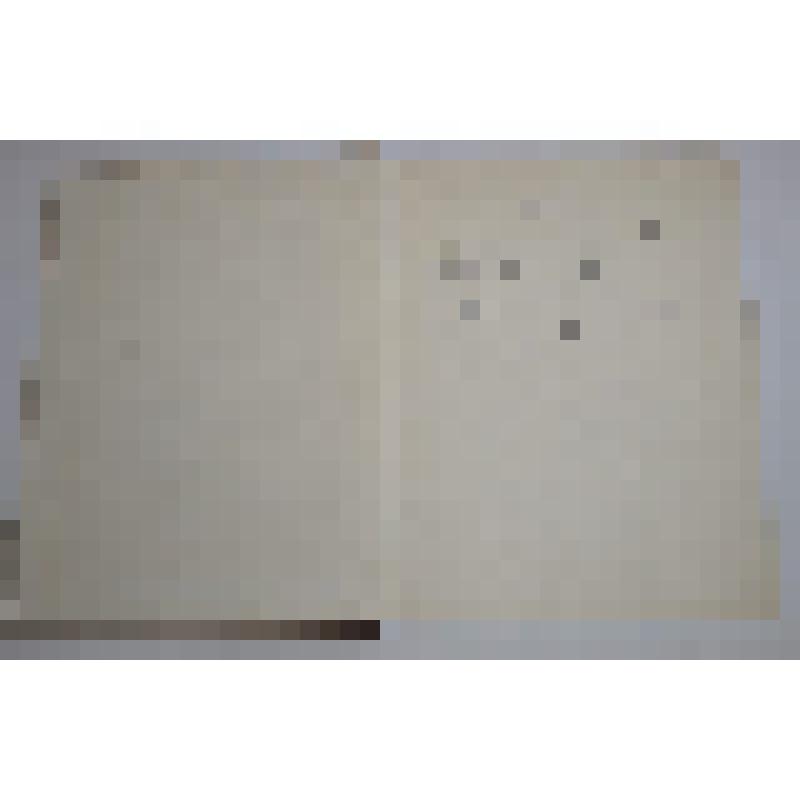 Книга О.Ремез "Искусство делать искусство"