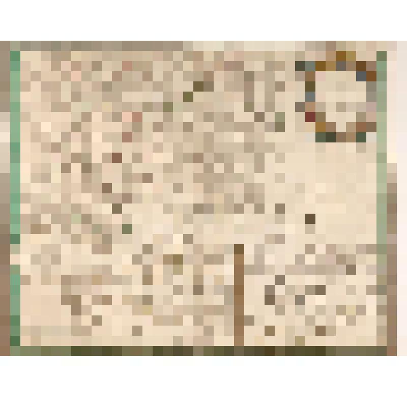 Гравюра. Карта "Partie Meridionale de la Russie Europeenne..." - Южная часть Европейской России со всеми ее провинциями