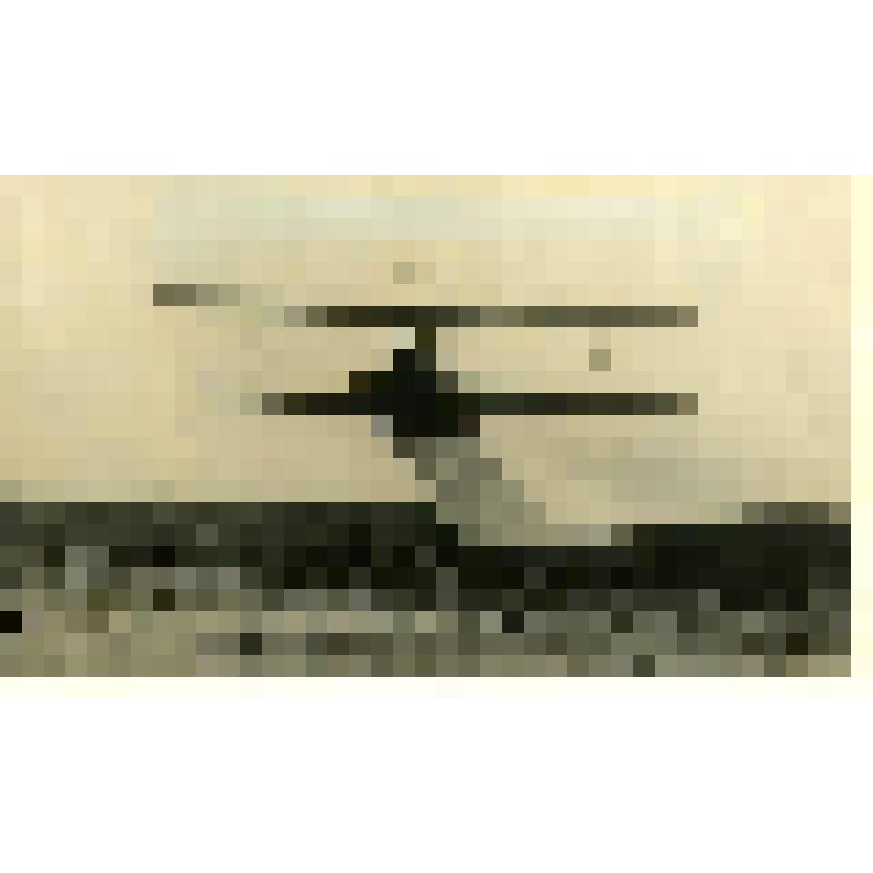 Фотография. "Борьба с совкой"