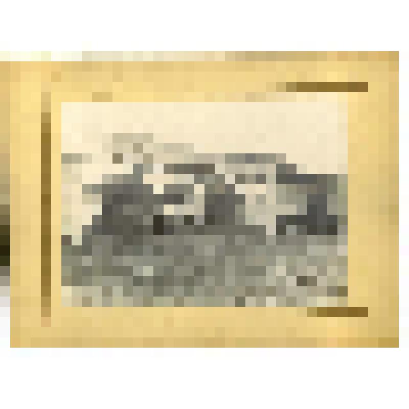 Фотография. Семеновский уезд. Углеобжигательная печь