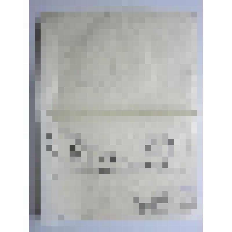 Братский корпус с гостиницей. Иосифо-Волоколамский монастырь. Основан в 1479 г. 1910 г. Иосифо-Волоколамский монастырь. Братский корпус. Металлический козырек крыльца. Шаблон кронштейна