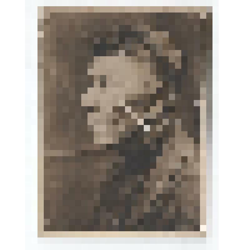 Ф/чб. Поволжский немец-колонист (типовой портрет). 1920-е. /Экспедиция Г. Дингеса