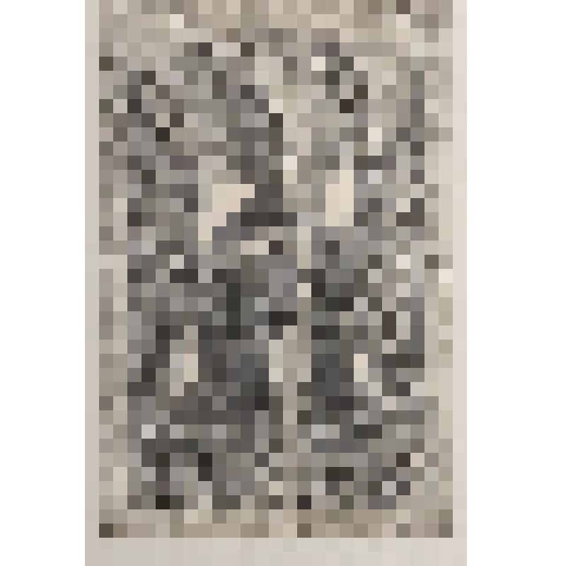 Пирога Гайаваты. VII. Из комплекта: Иллюстрации к "Песне о Гайовате"