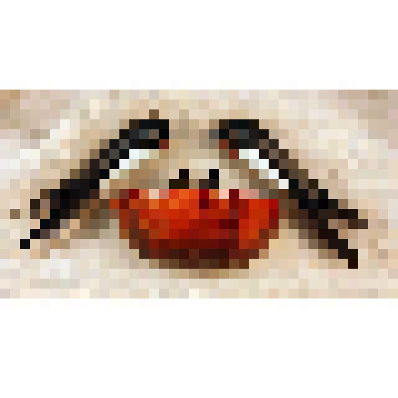 Сувенир настенный. Гнездо ласточки