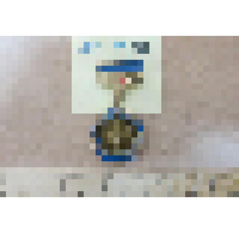 Знак памятный. БАШГЛАВСНАБ- 15 лет