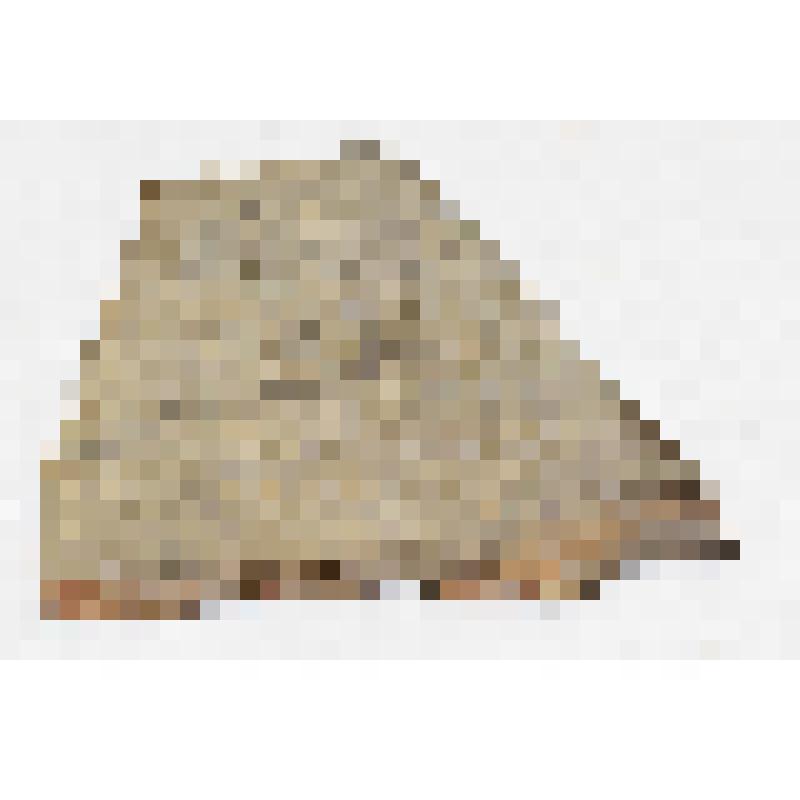 Фрагмент  боковой стенки  слабопрофилированного кругового сосуда, подтрапециевидной формы, слегка выпуклый