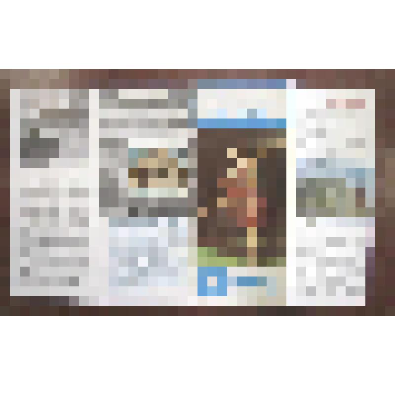 Буклет "You can see all this only in winter" ["Вы можете посмотреть все это только зимой"]. На английском яз