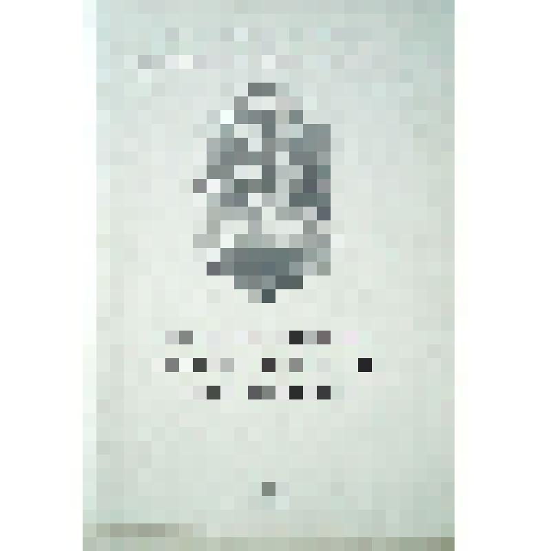 Книга "Муниципальные казачьи дружины (два года работы). Документально-информационный бюллетень." в. 1