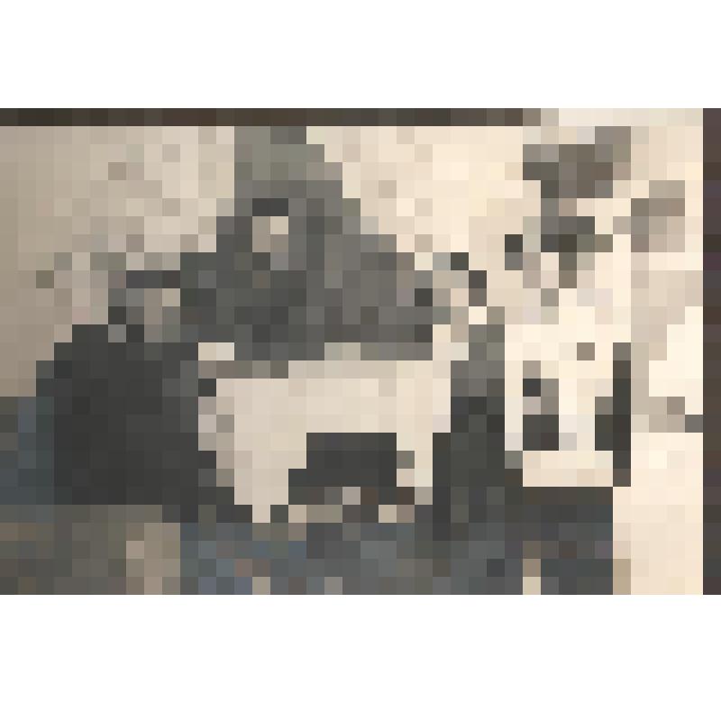 Фотография в альбоме. Оленин Алексей Александрович с женой Клеопатрой Владимировной и  неизвестным мужчиной и женщиной. Из комплекта: Семейные фотографии, принадлежавшие Алексею Александровичу Оленину и Марии Алексеевне Олениной -Д'Альгейм