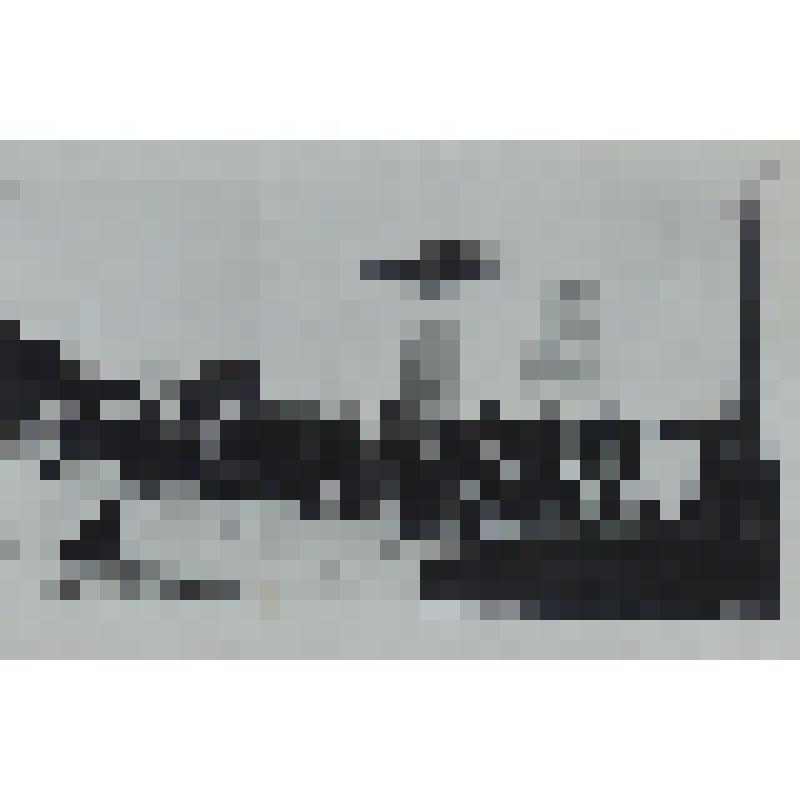 Фотография. Зарядка  учащихся старшего класса мужской средней школы №16