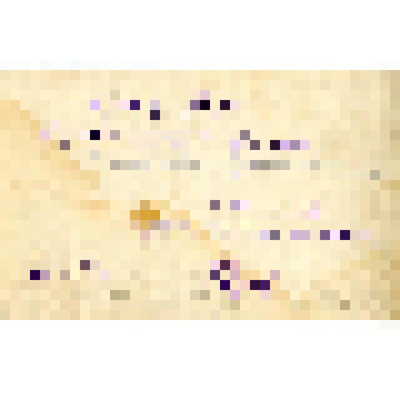 Фотография. Кривогорницына Татьяна