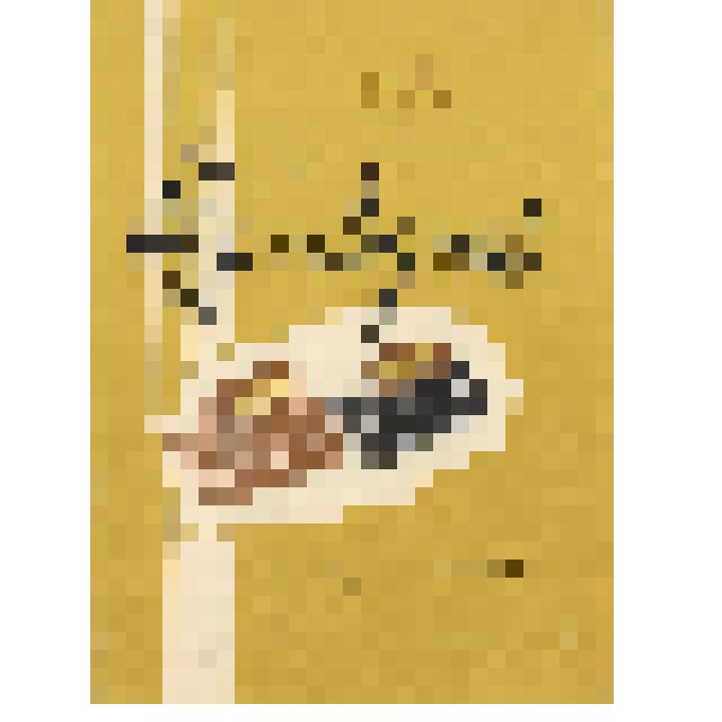 Технический паспорт. Термодатчики