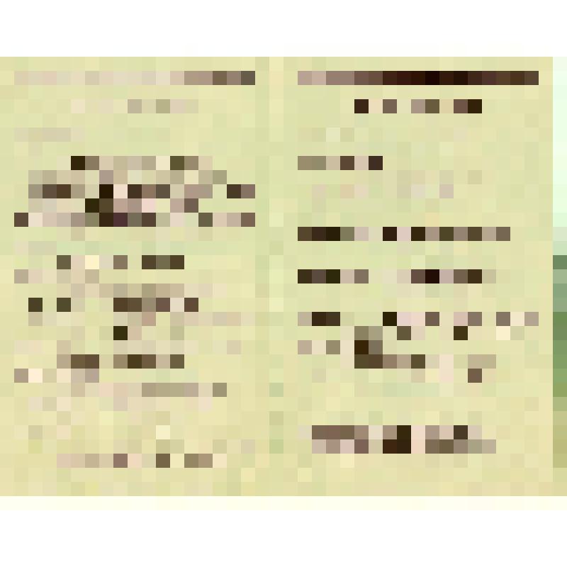 Афиша программа. Программа праздичного концерта 2 августа 1969 года. г.Луга