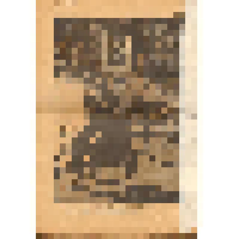 Журнал. "Новый Сатирикон" № 17, 1917 года. (Борьба с демонстрациями.)