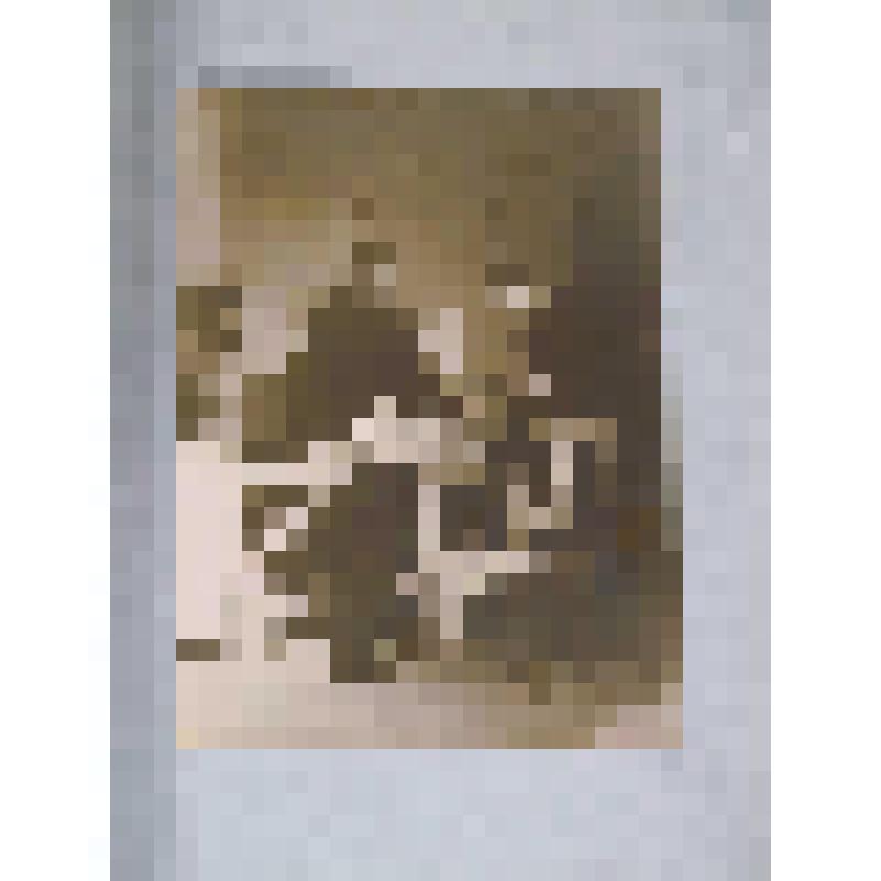 Фотография черно-белая. Портрет групповой. Актёры Калининского областного драматического театра, слева направо: В.П. Важнов, А.А. Вокач, (?). СССР. Калинин