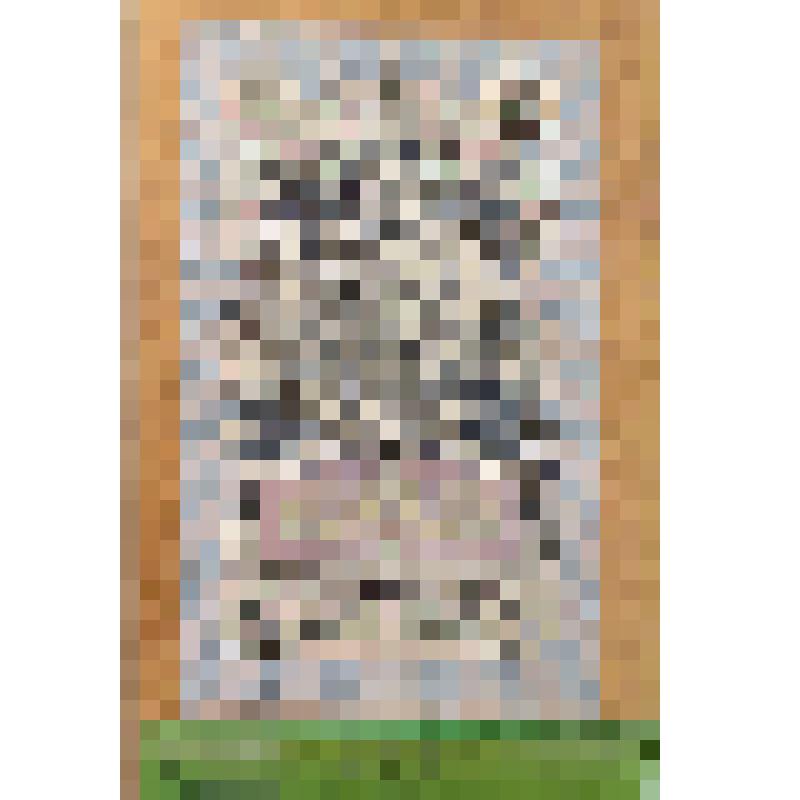 Билет кредитный государственный 5 рублей. УА - 185