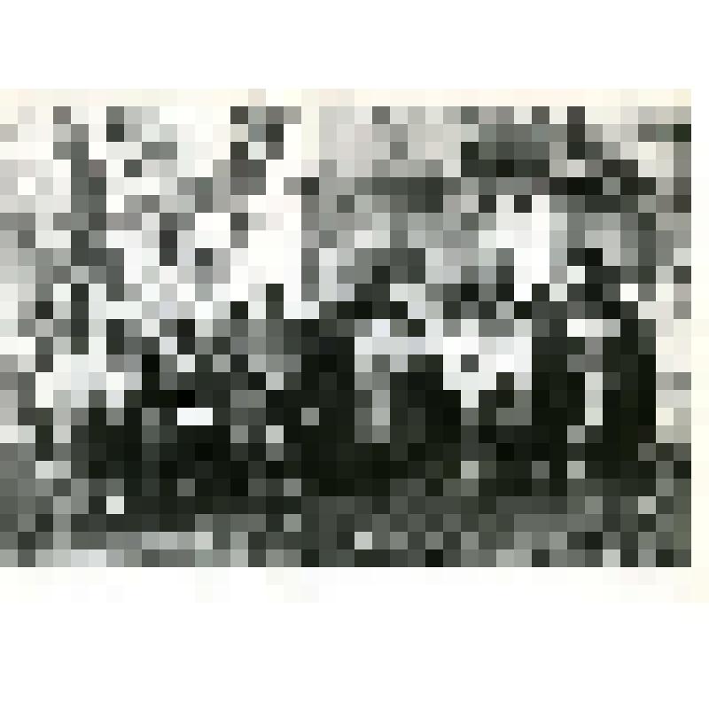 Фотография. Участники празднования юбилея директора Соликамского краеведческого музея Д.Г. Соколковой
