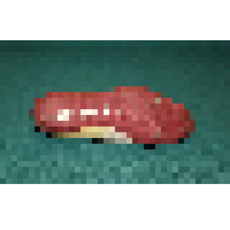 Туфли с шипами спортивные (шиповки) Соколова Владимира Витальевича