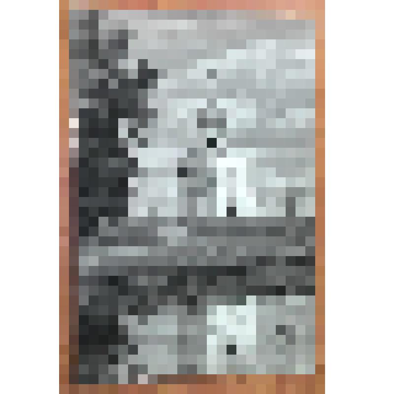 "Белокаменный храм". Рисунок