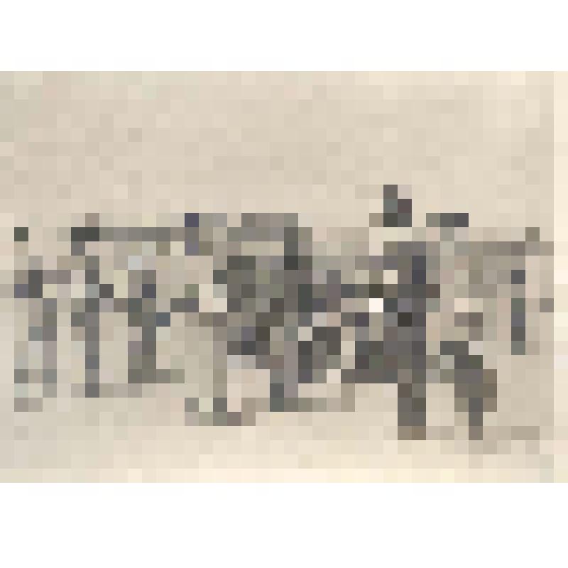 Санкт-Петербург. Смотр-испытание автомобилей в Высочайшем присутствии императора Николая II. Генерал-лейтенант Эйхгольц на Марсовом поле перед отправлением автомобилей на испытание