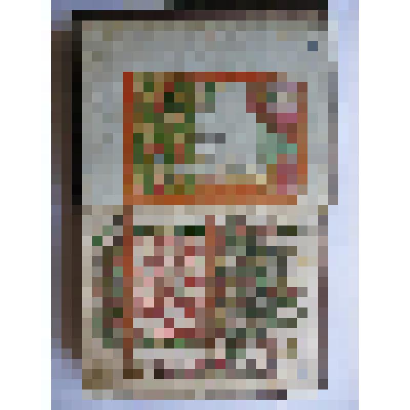 Житие Василия Московского юродивого и похвальное слово ему