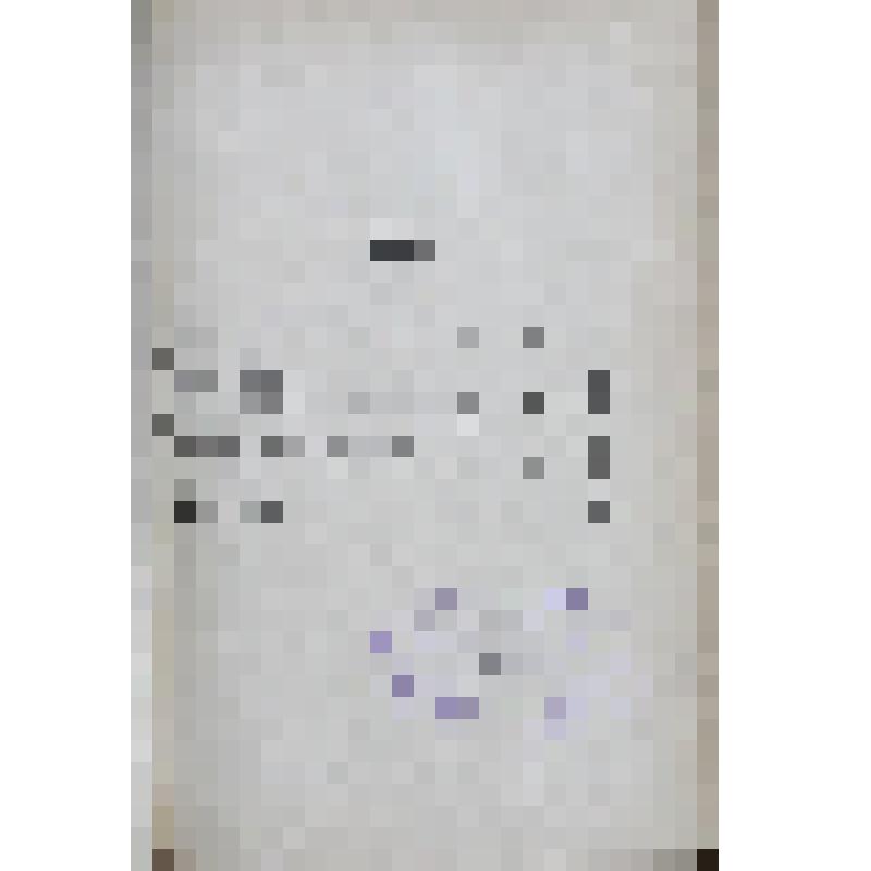 Heinrich Heines sämtliche Werke: in 12 Bänden. Bd. 8. Deutschland II. / H. Heine ; Mit einer Biographie von ... E. Karpeles. - Leipzig: Max Hesse, S.a. (Leipzig: Hesse und Becker) 