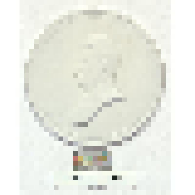 СССР. Медальон с портретом И.В. Сталина. 1950 г