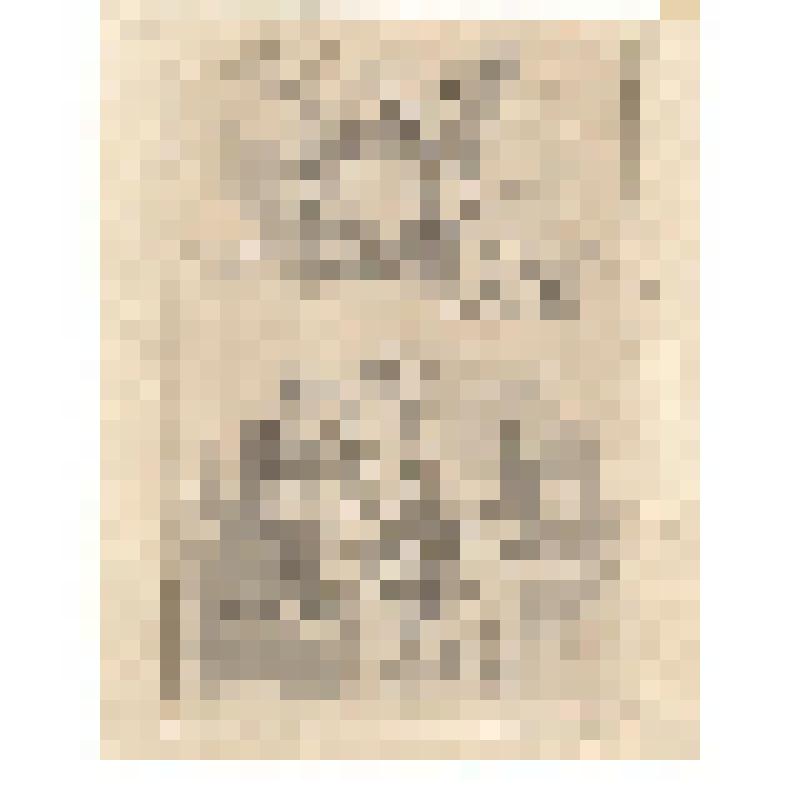 1) Моисей со скрижалями (?) 
2) Амур перед Юпитером