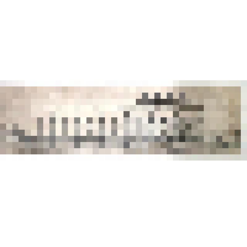 Дом пионеров. 1985г. Дом пионеров в Северодвинске. Осуществлен. Проект. Фасад.Эскиз