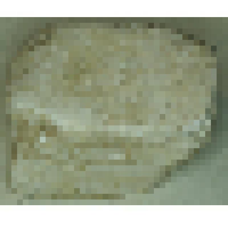 Барит