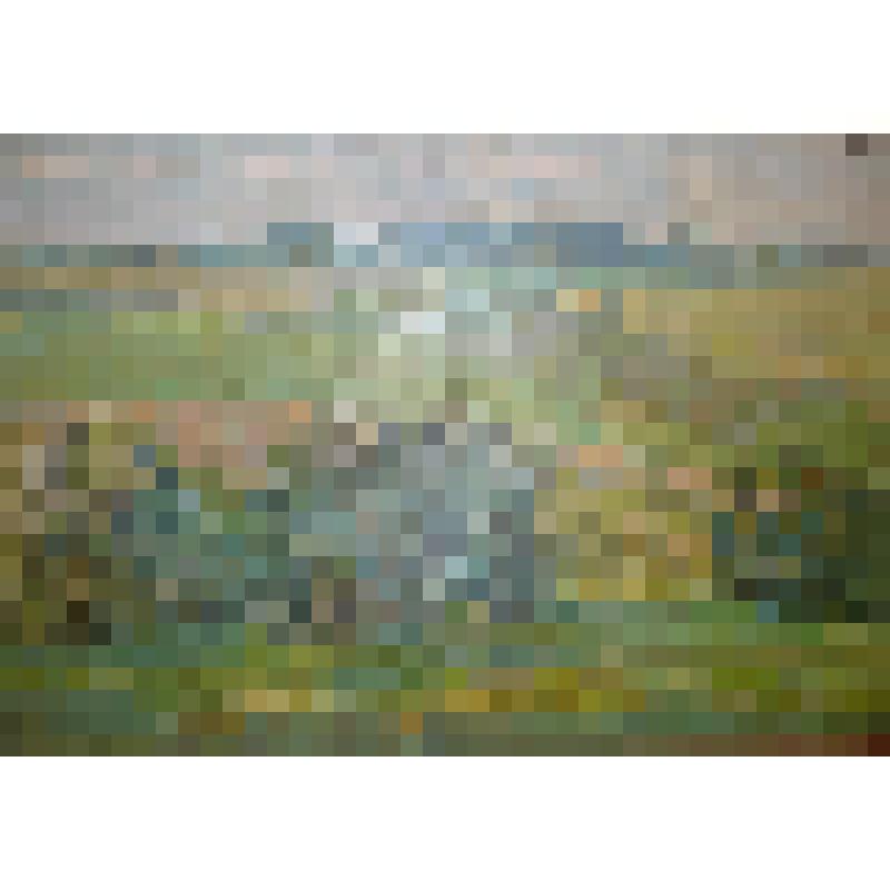 Картина. Летний пейзаж