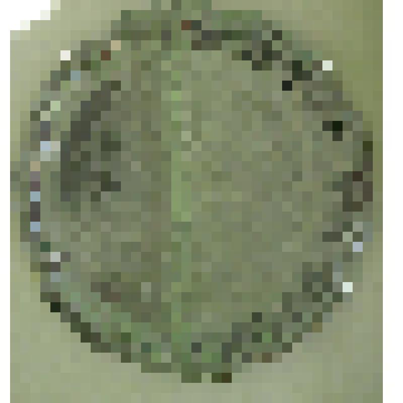 Поднос