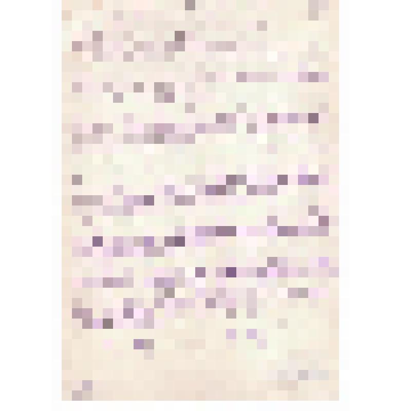 Материалы по делу Г.А. Шмидта