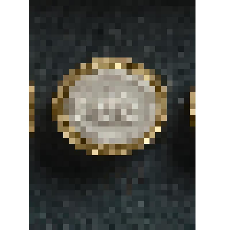 Гемма. Слепок. Химера