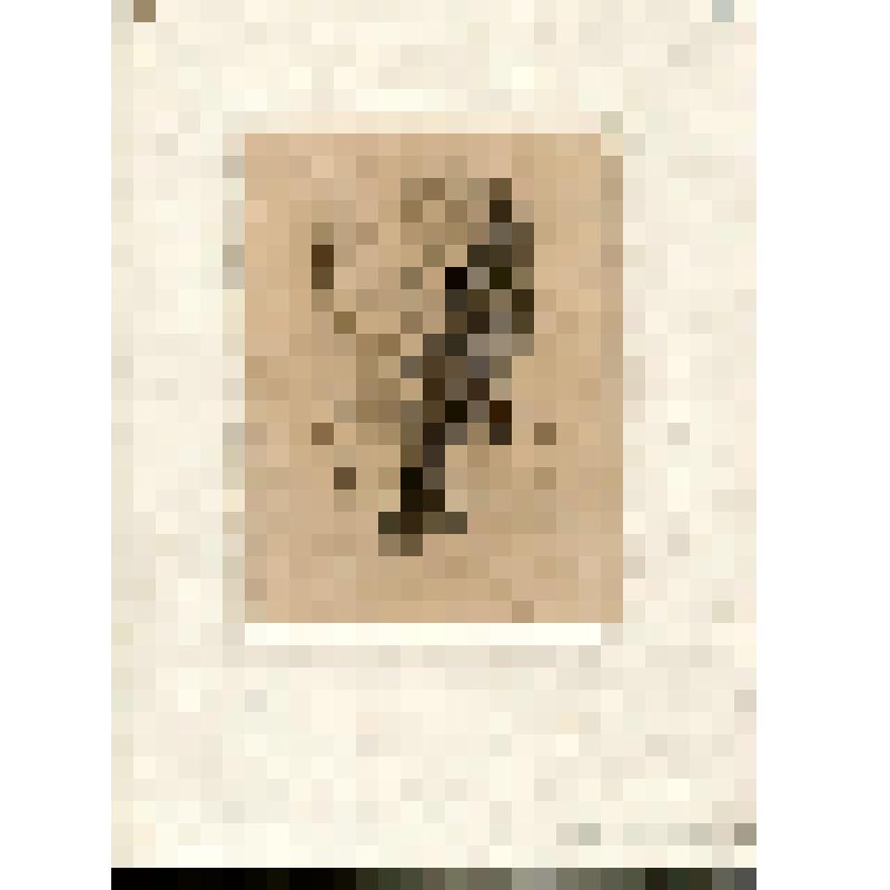 "Ленин". Гравюра