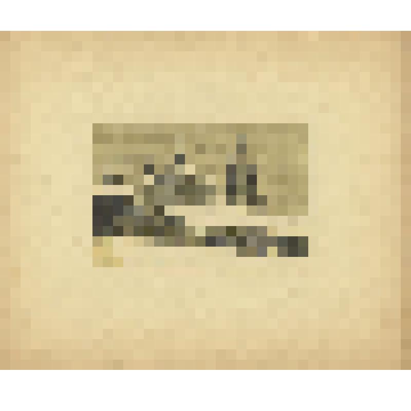 «Дом на Арбатской площади, ныне универсальный рынок». Альбом «Иван Павлов. Гравюры на дереве. Старая Москва».1924