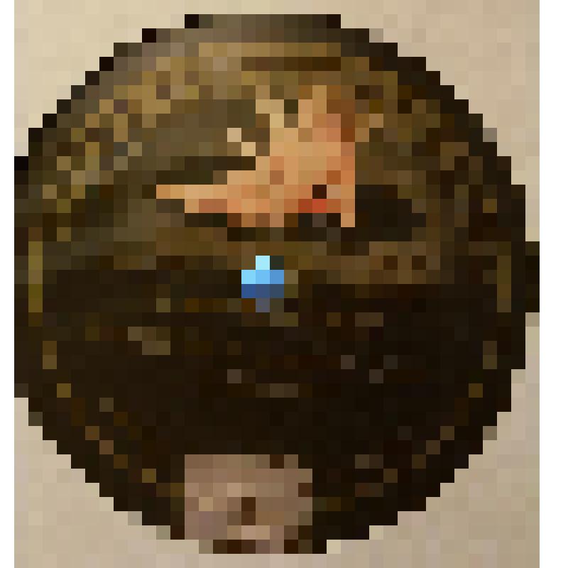 Грампластинка. Пьеса: "Ветерок". Исполняет Вяльцева А.Д. /романс/. Россия; Пьеса: "Динь, динь, динь". Исполняет Вяльцева А.Д. /романс/. Россия