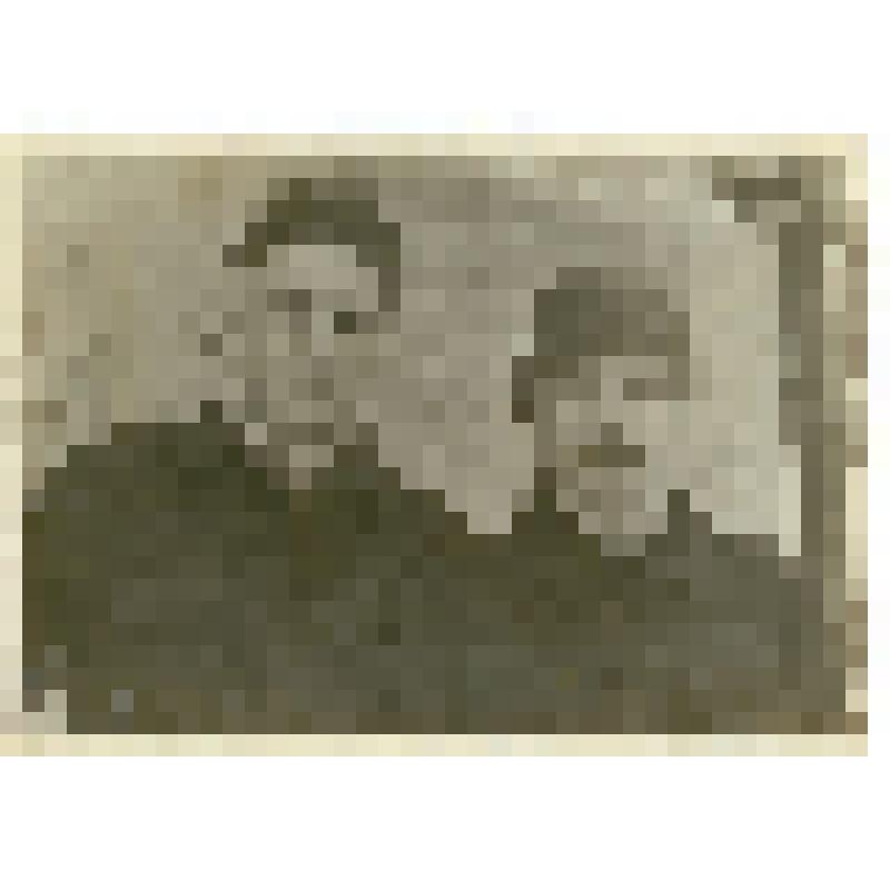 Фотография. Насонов Г.В. (справа) и Шишкин Б.А., ученики Саратовской спецшколы ВВС № 8, на городских лыжных соревнованиях