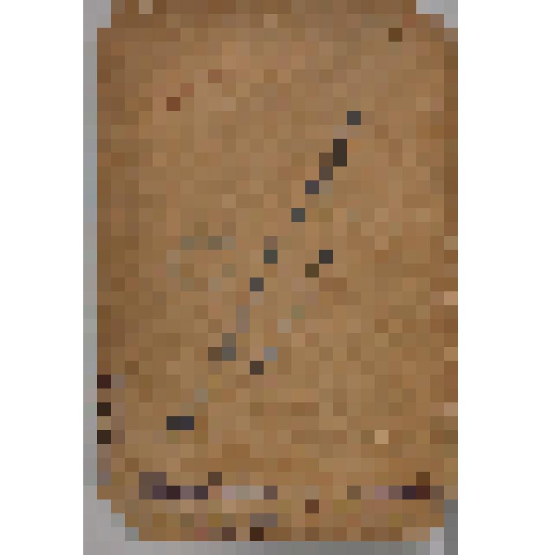 Фото на паспарту. Портрет. Ширяев Иван Павлович и Харитина Александровна (урожд. Коробицына). Фотоателье А.И.Кочешева, г.Курган