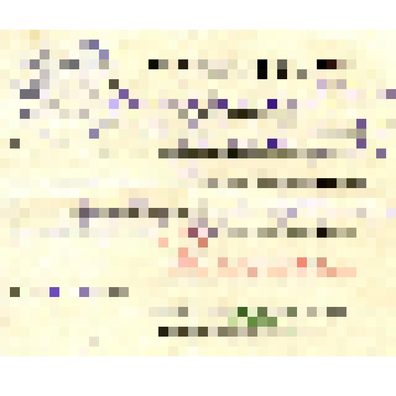 Документ. Разрешение n 2268 на въезд в пределы Польши семье Подполковника Жукова Николая Ивановича: жены Жуковой Антонины Яковлевны, дочери Оды 1935 г. рождения