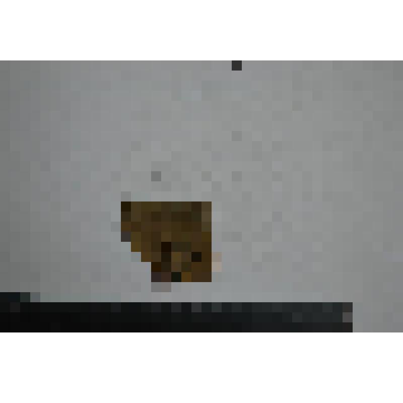Сосуд. Фрагмент