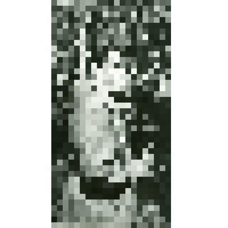 Фото. Т.М. Белозёров в лесу, 1970-е гг., г. Омск