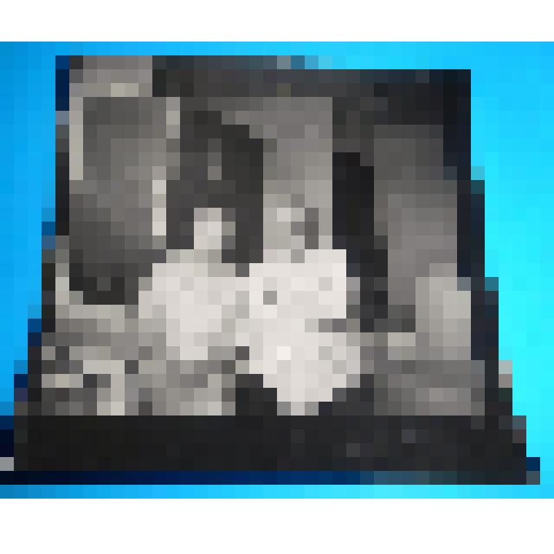 фотография. Виноградов А.В. и Григорьева Е.В