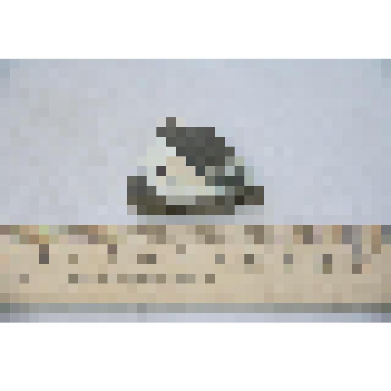 Фрагмент стенки сосуда