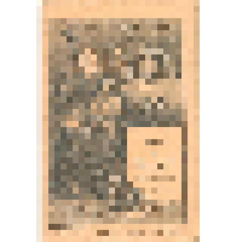 Журнал "Всемирная история" « Выпуск 12-й.1903 г. III Новое время(Кн 2-я.). ( Стр.97-176 и 12 стр.иллюстраций: стр.17-28,рис.39-71.)» Общеполезная Библиотека Родины, издание А.А.Каспари