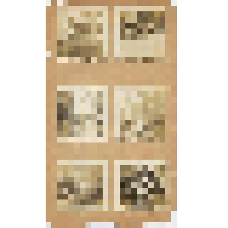 Лист из фотоальбома. Лист из фотоальбома. 9 фотографий (3 - на обороте).  Жарова Н. Н. и Жаров С.А. на прогулке
 (

























































































































)
