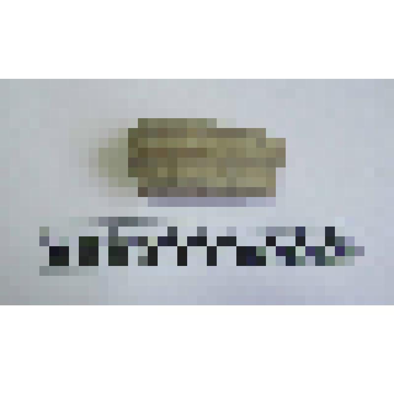 Ручка амфоры типа Зеест 72