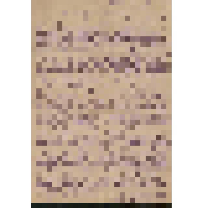 Лит. рукопись. "На концертах В. Софроницкого". Рукописная копия статьи, опубликованной в газате "Вечерний Ленинград" (1952, февр. 6)